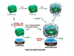 纳米胶囊技术有效提高酶生物传感器稳定性